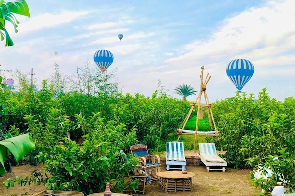 Overnattingsstedets uteområder