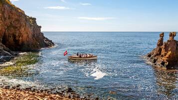 A rocky shoreline with a boat carrying passengers.