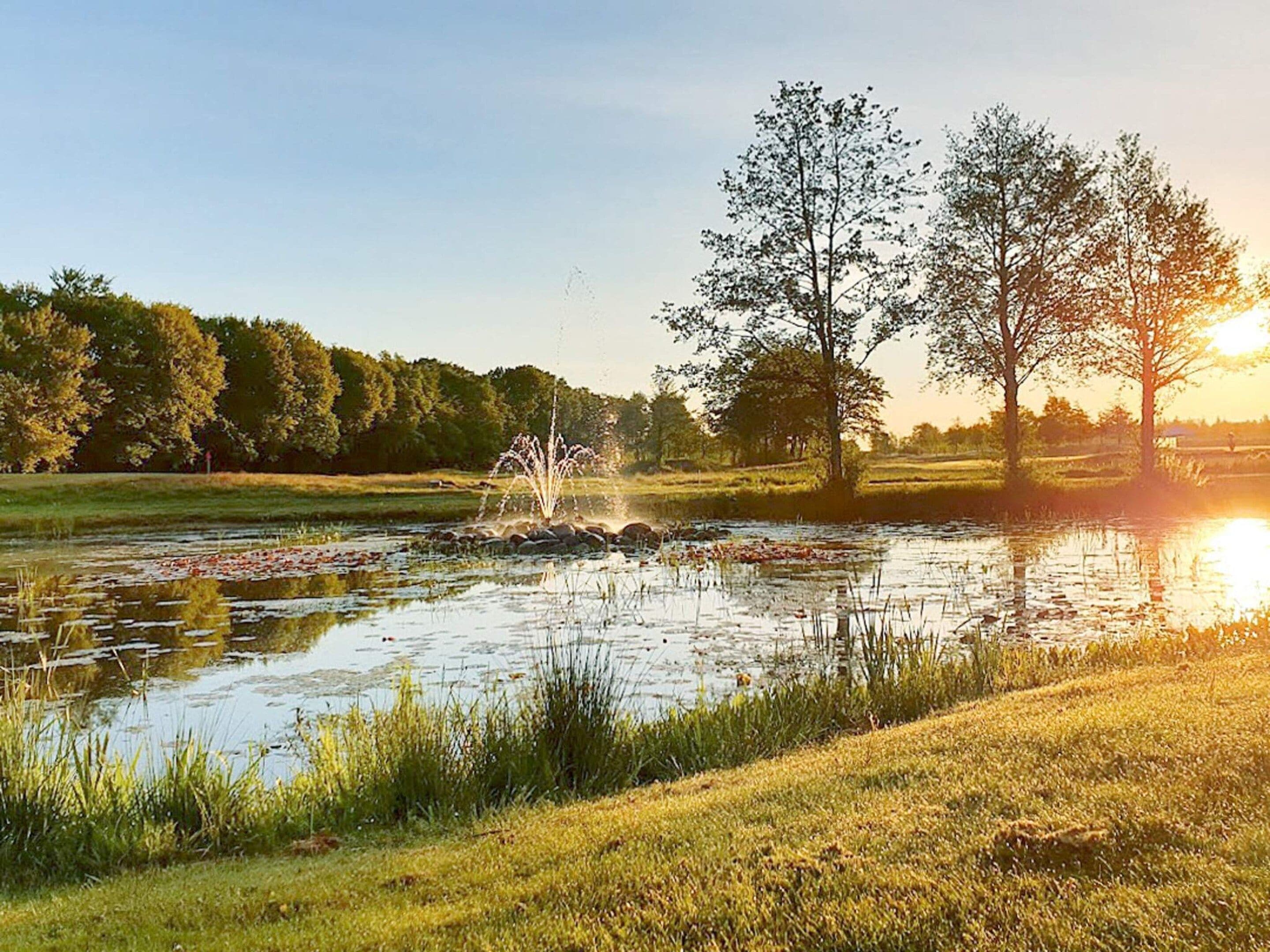 Un étang avec une fontaine, entouré de pelouse et d’arbres, sous un ciel dégagé et baigné de soleil.