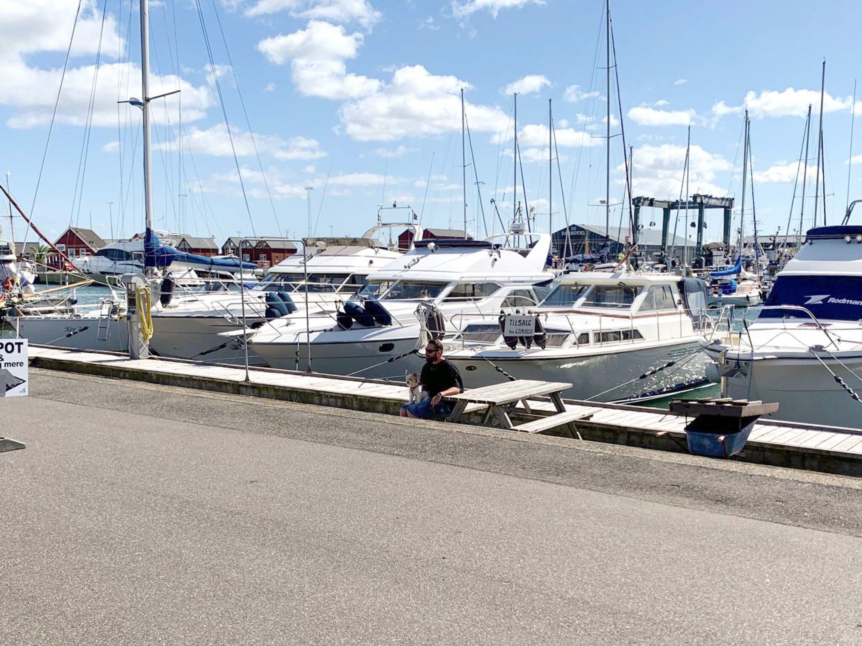 House | Marina
