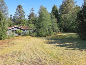 A house with a sloped roof and a fenced yard surrounded by dense trees.