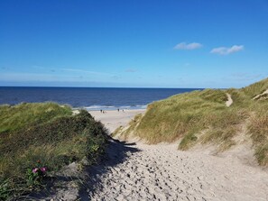 A sandy beach with grassy dunes and the ocean in the background.