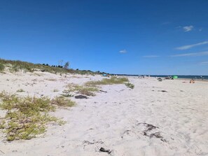 A sandy beach with sparse vegetation and a clear sky.