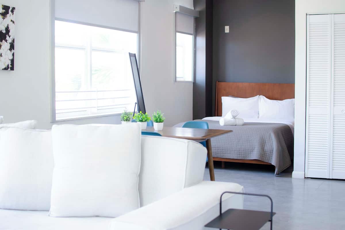 A modern hotel room with a bed, a sofa, a small table with plants, and a large window providing natural light.