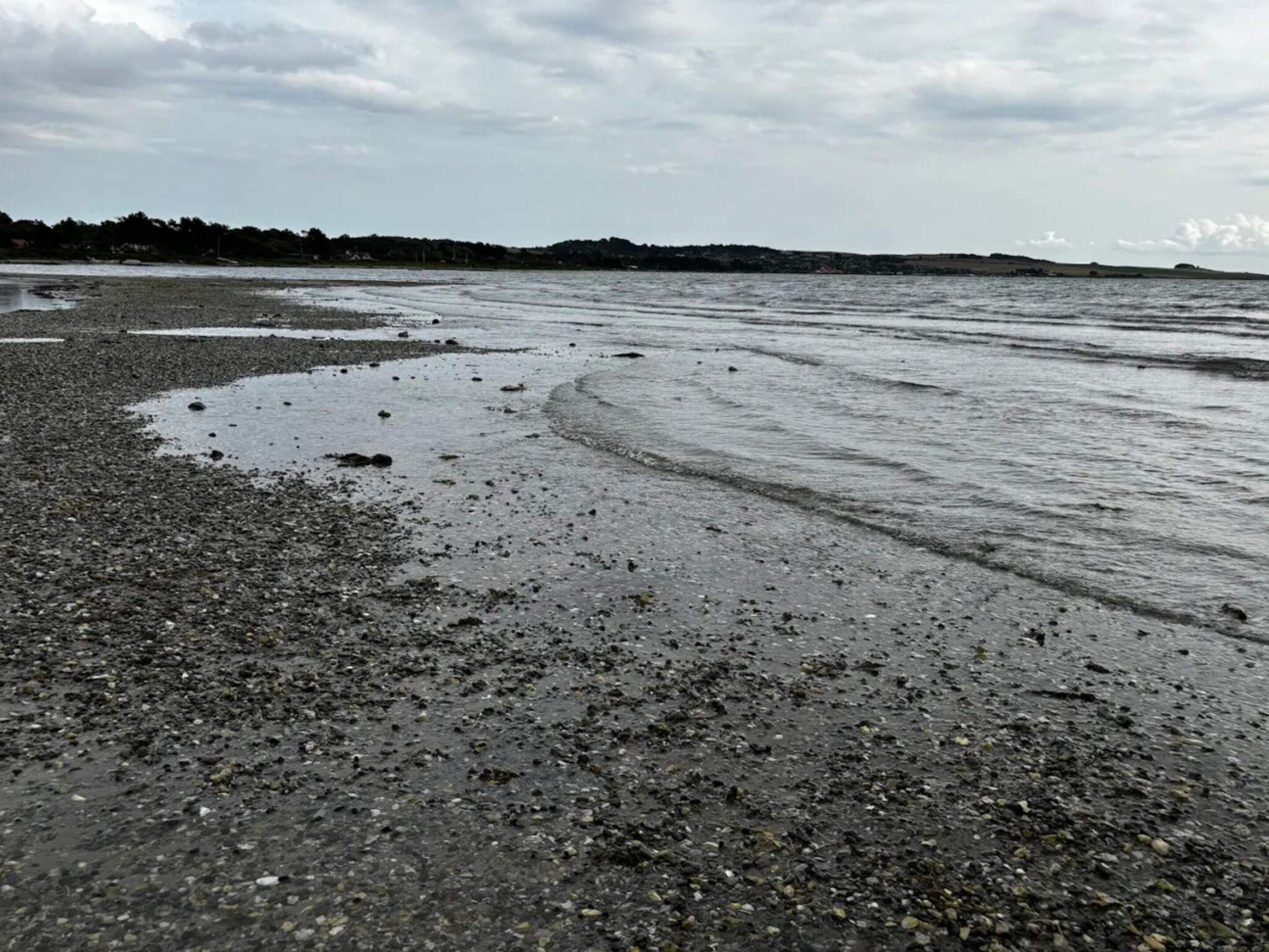 Una playa con arena mojada y agua.