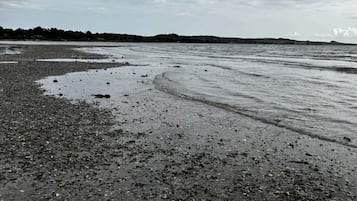 Una playa con arena mojada y agua.
