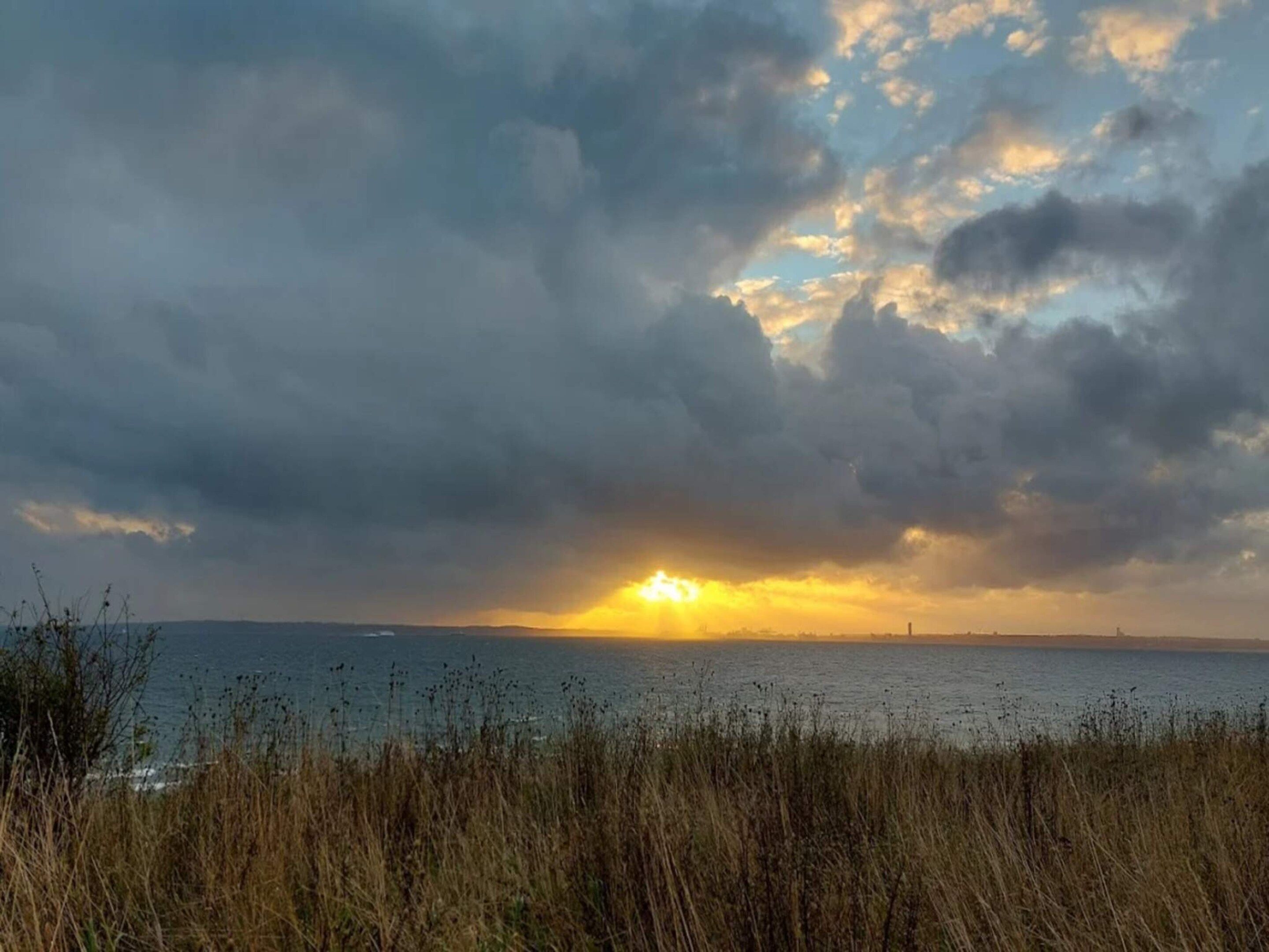 A coastal landscape with a body of water, overcast sky, and vegetation in the foreground.