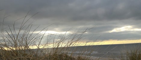 A beach with tall grasses in the foreground and a cloudy sky.