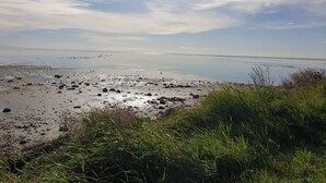 A beach with a clear sky, calm water, and scattered rocks. - 5 Person Holiday Home in Saeby (Sæby)