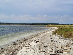 A natural landscape with a clear water body, sandy shore, and a distant forest line. - 5 Person Holiday Home in Saeby (Sæby)