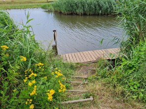 Une jetée en bois s’avance sur un étang paisible, entouré d’une végétation luxuriante et de fleurs jaunes.