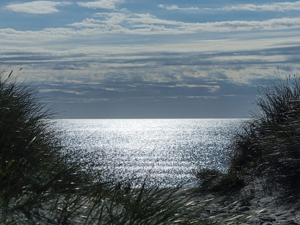 Une vue sur la plage, avec lâocĂ©an, le ciel et lâherbe au premier plan.