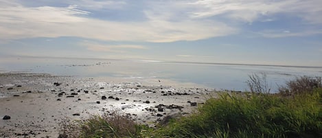 A beach with a clear sky, calm water, and scattered rocks.