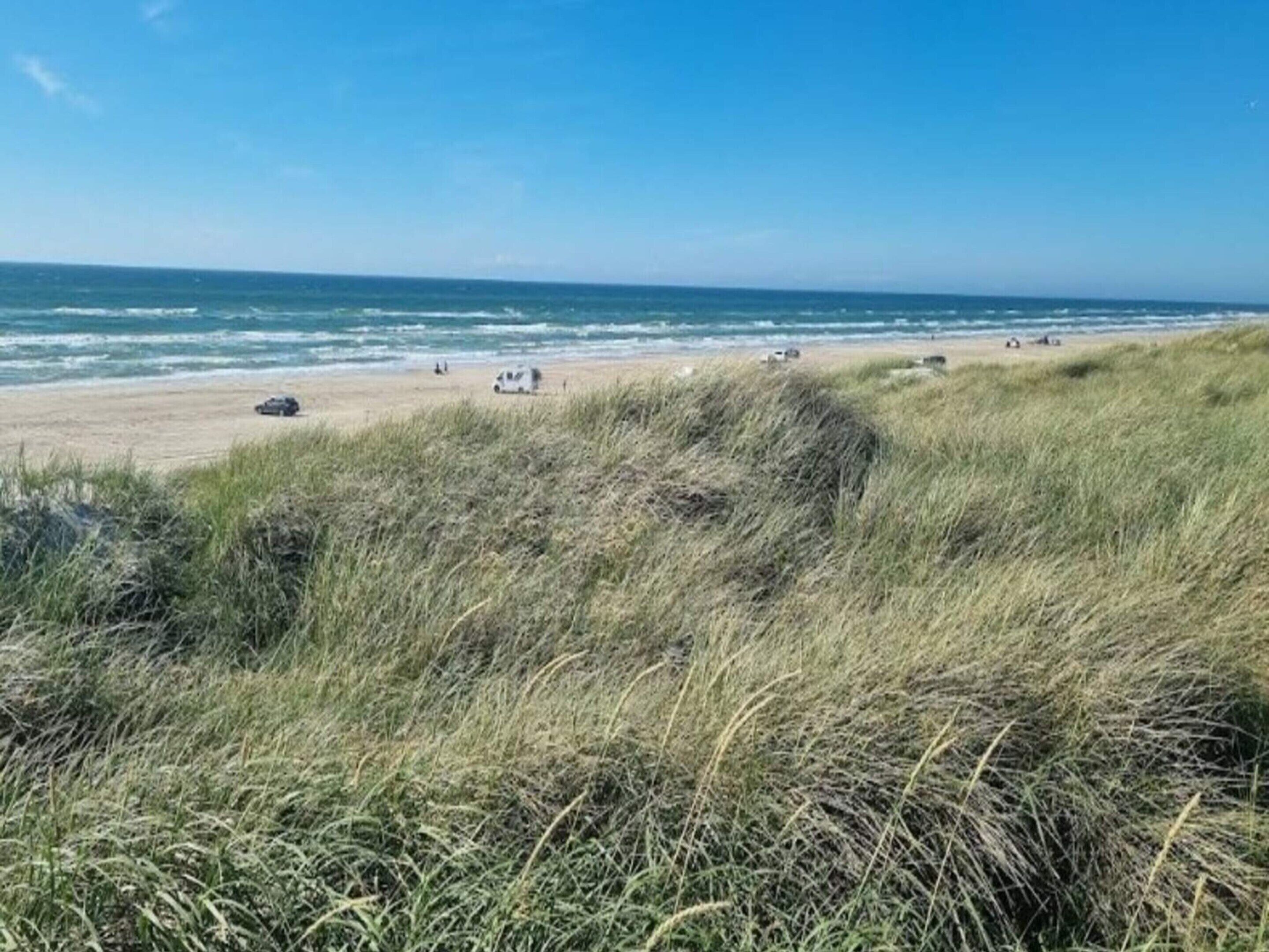 A beach with grassy dunes, a clear sky, and the ocean in the background.