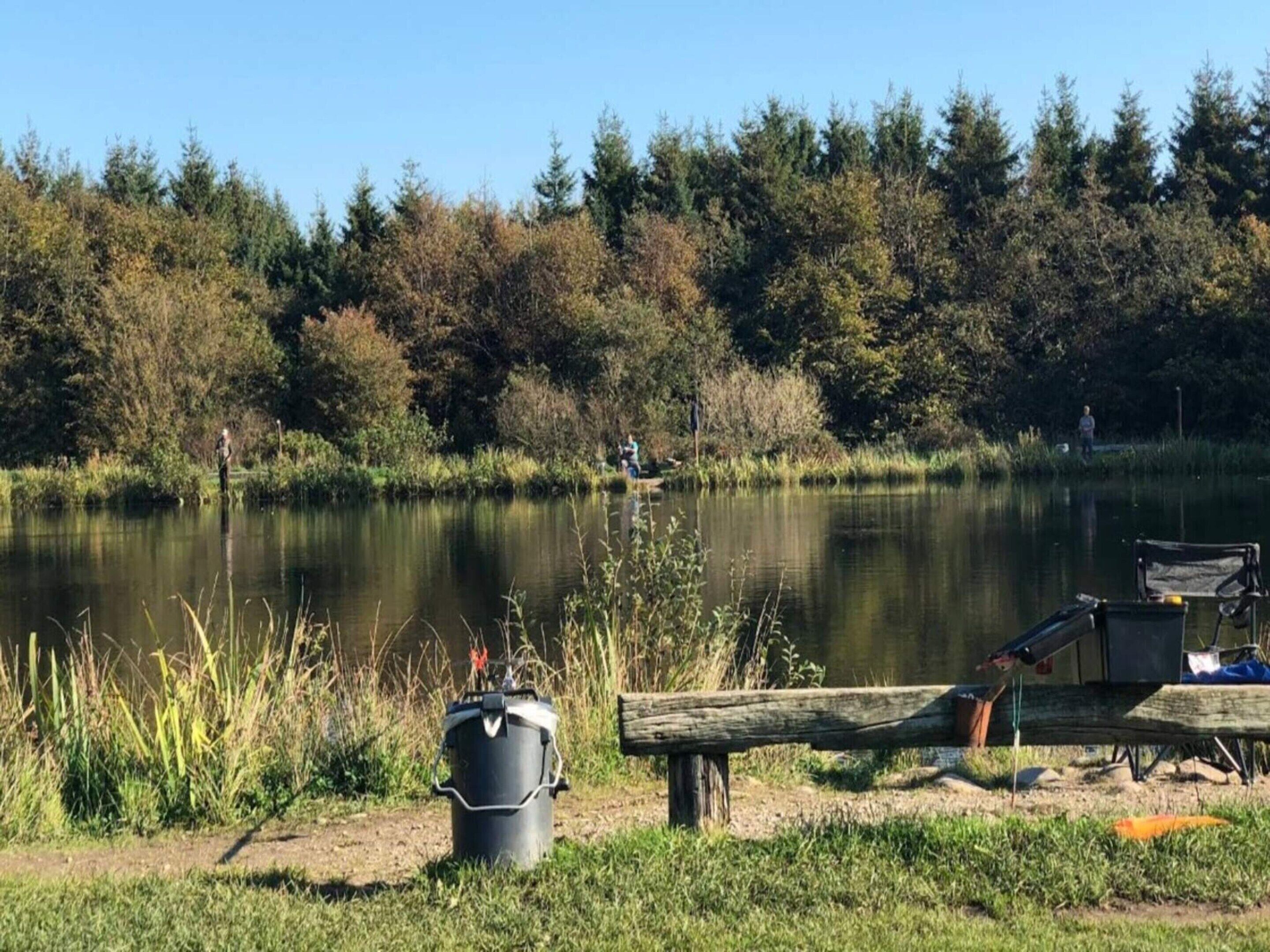 A lakeside setting with a wooden dock and a trash can.