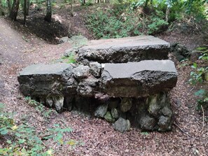 Maison | Enceinte de l’hébergement