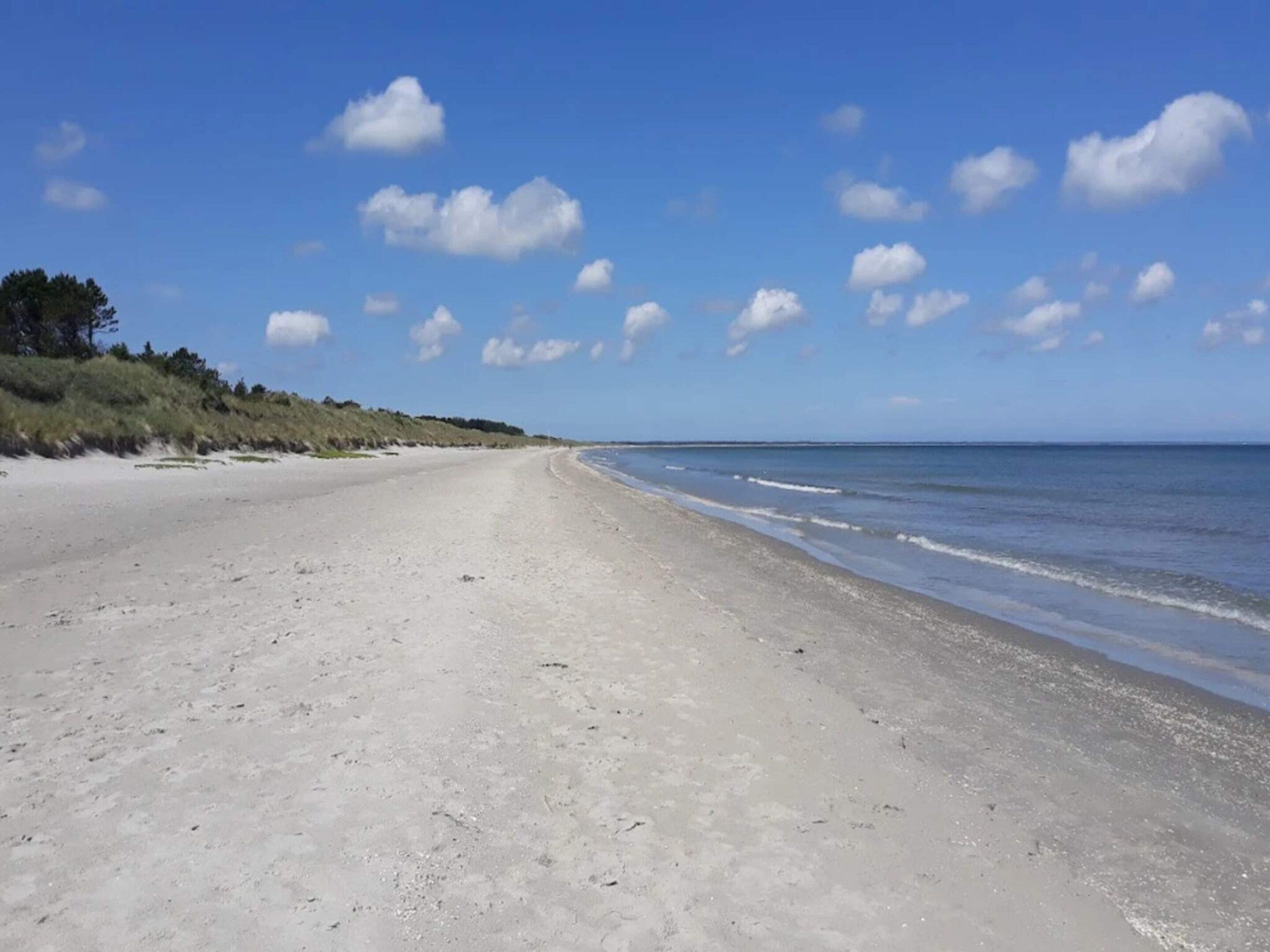 A wide sandy beach with gentle waves, a clear sky, and sparse vegetation on the left.