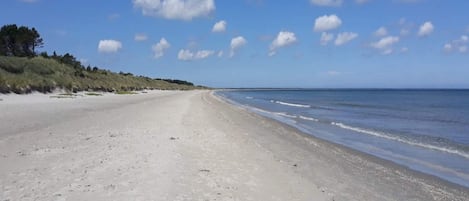 Uma extensa praia de areia com ondas suaves, céu claro e vegetação rala à esquerda.