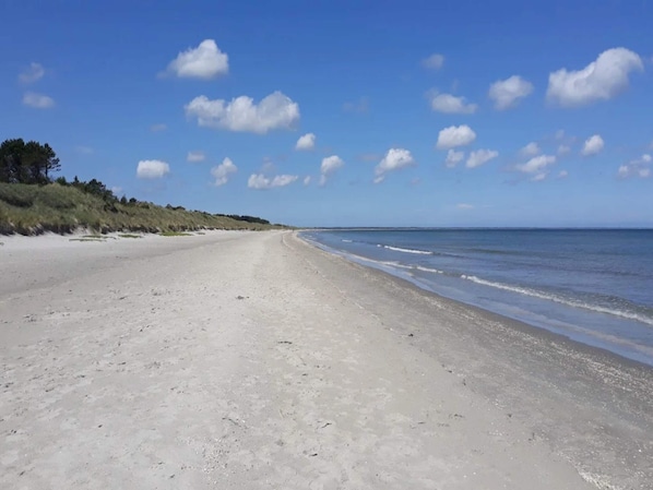 A wide sandy beach with gentle waves, a clear sky, and sparse vegetation on the left.