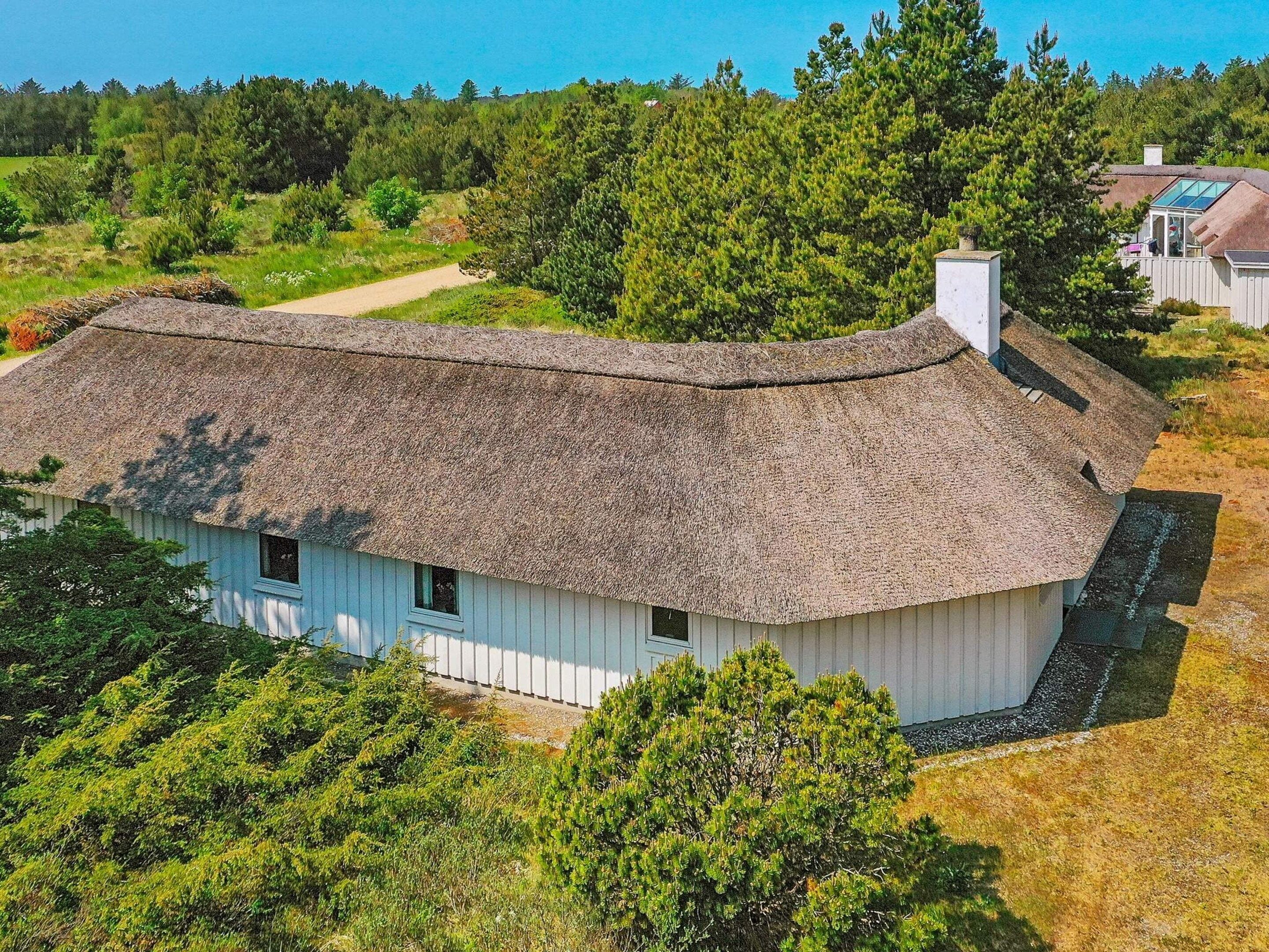 A thatched-roof house with a white exterior, surrounded by greenery and trees.
