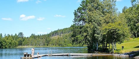 A calm lake with a dock extending into the water, surrounded by dense trees and a clear sky.