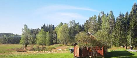 A rustic cabin with a sloped roof, surrounded by a lush green field and dense forest.