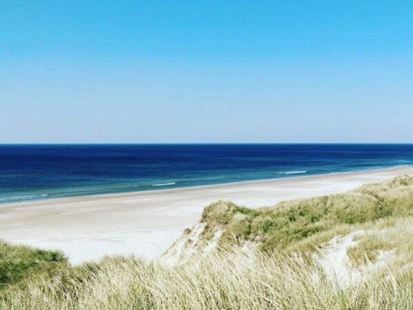 獨棟房屋 | 外觀