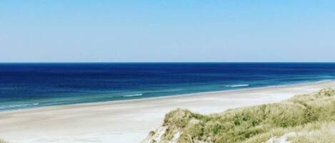A beach with clear skies and a sandy shore.