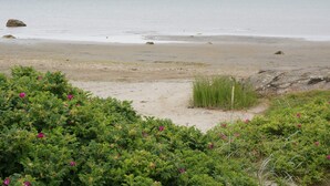 A beach with a sandy shore, green vegetation, and a calm body of water.