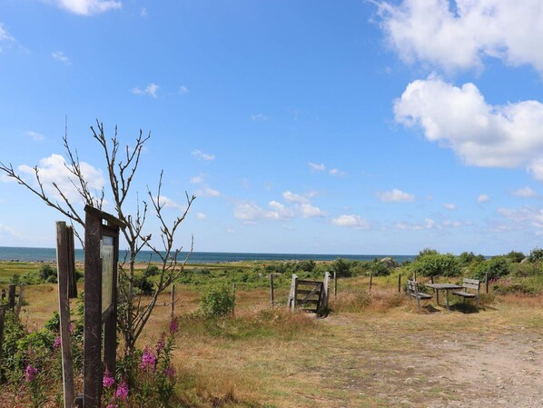 A rural landscape with a dirt path, wooden benches, and a signpost.