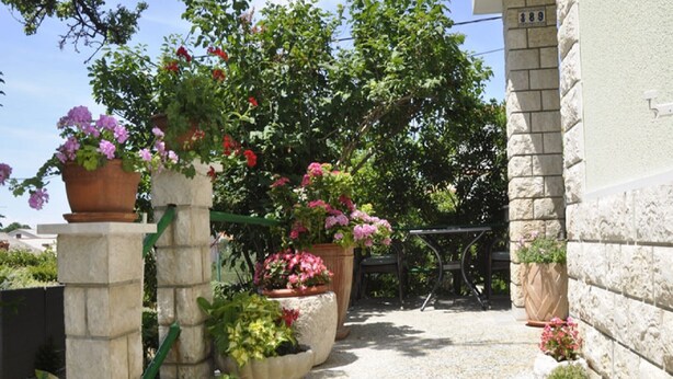 A stone staircase leading to a building entrance, surrounded by various potted plants and flowers. - Apartments Profaca - Two Bedroom Apartment with Terrace (Rab)