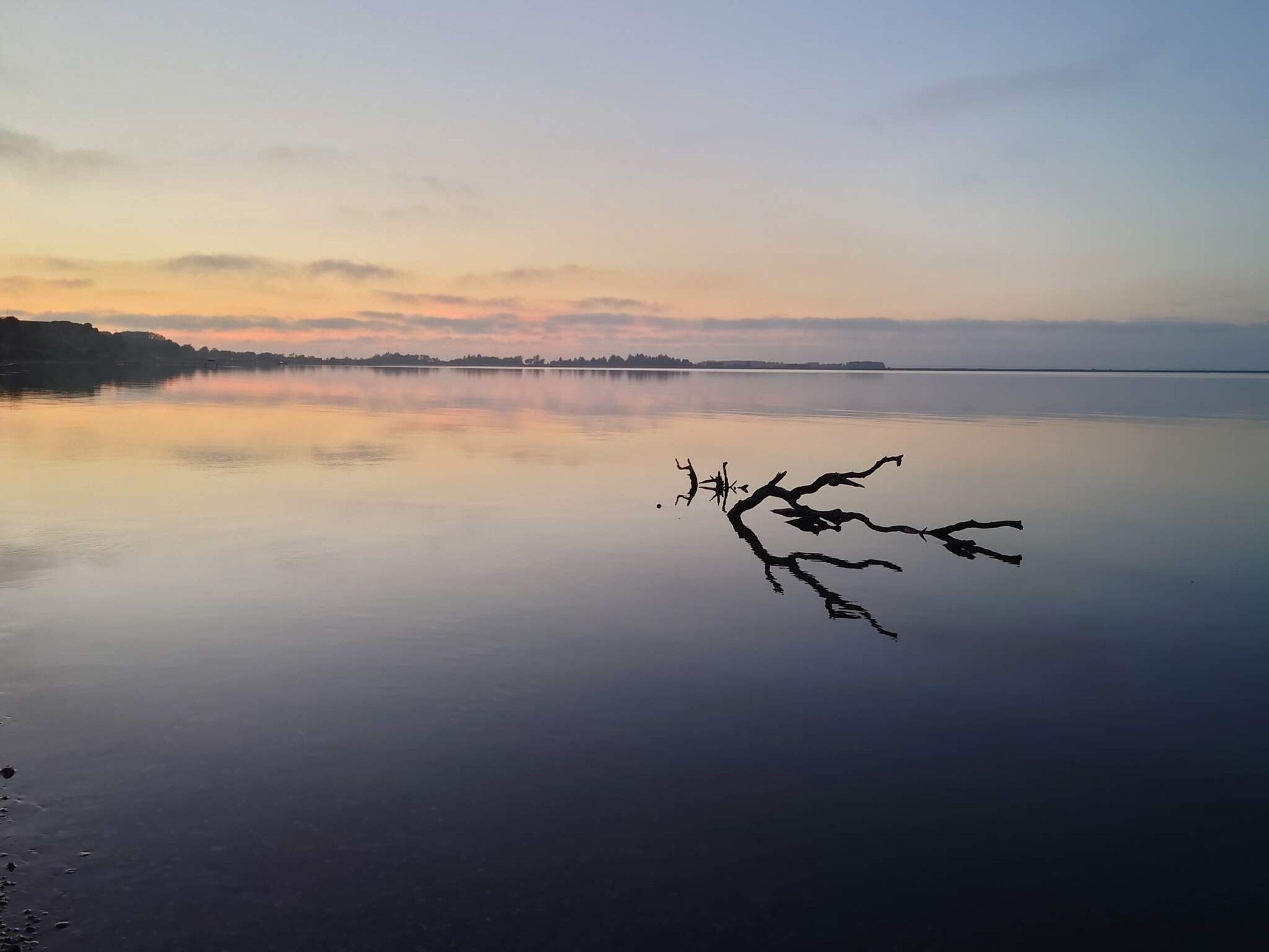 Un lac paisible, avec une branche d’arbre au premier plan qui se reflète dans l’eau.