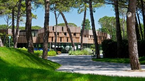 A modern building with a wooden facade, surrounded by trees and a paved path.