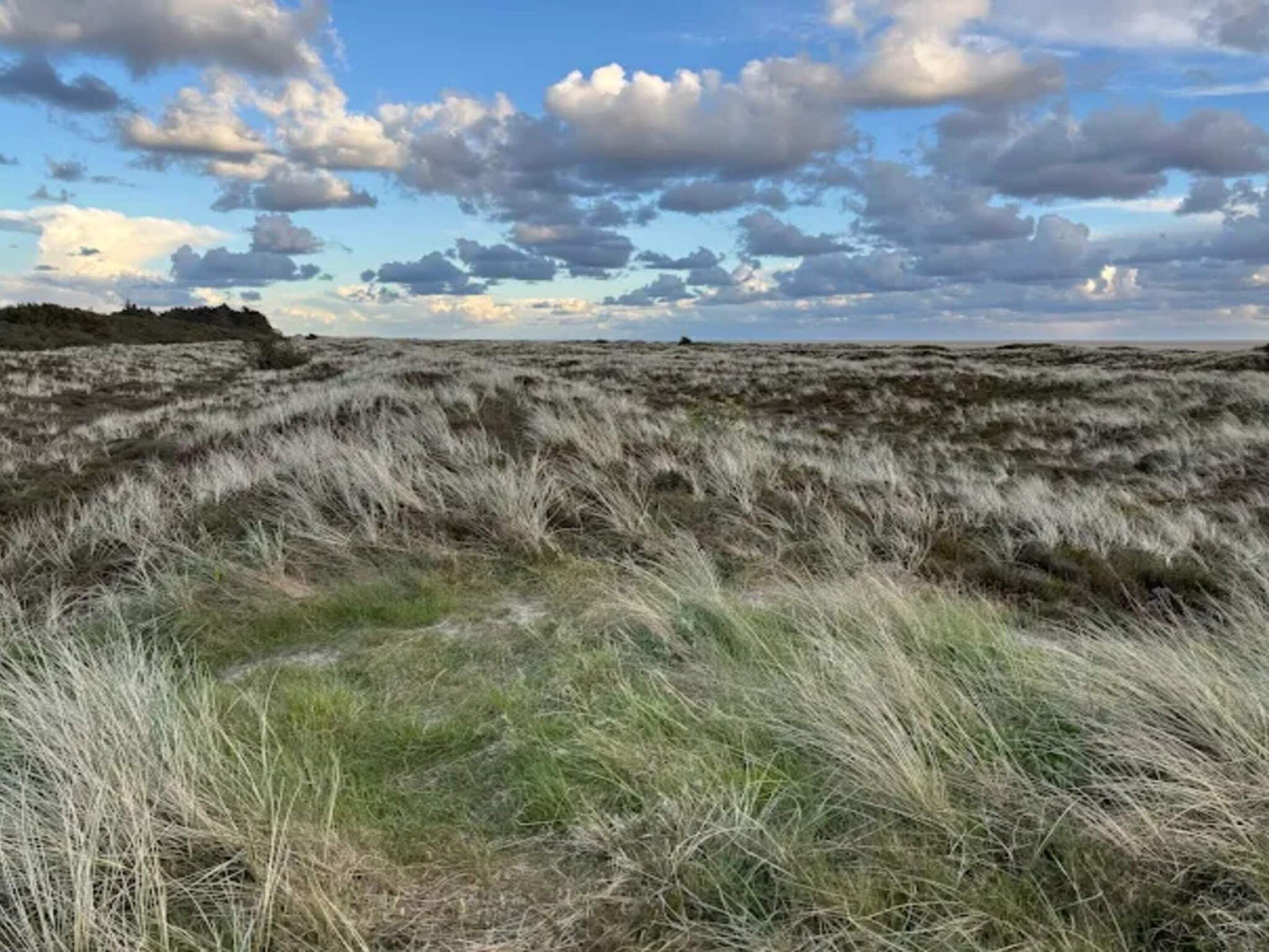 Un paysage naturel caractérisé par un terrain herbeux et un horizon lointain.