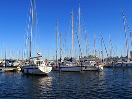 Ein Yachthafen mit mehreren Segelbooten, die dort liegen.