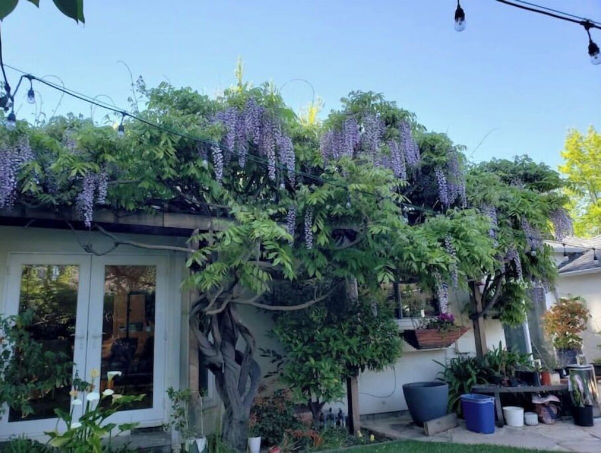 Majoittajan profiilikuva