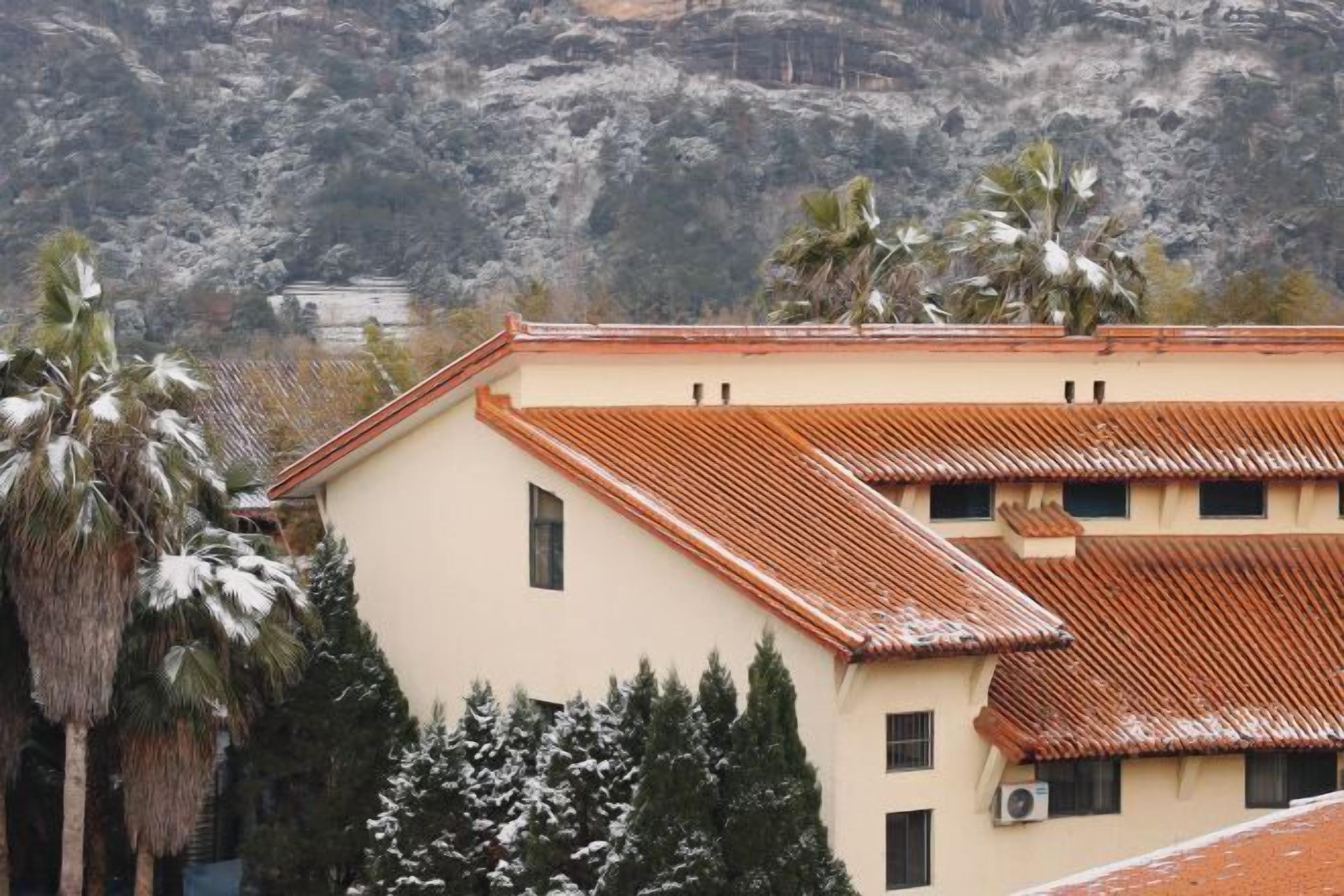 A building with a tiled roof and multiple windows, surrounded by palm trees and snow-covered trees.