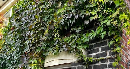 Cheerful 3 bedroom entire home - newly furnished to a high standard.