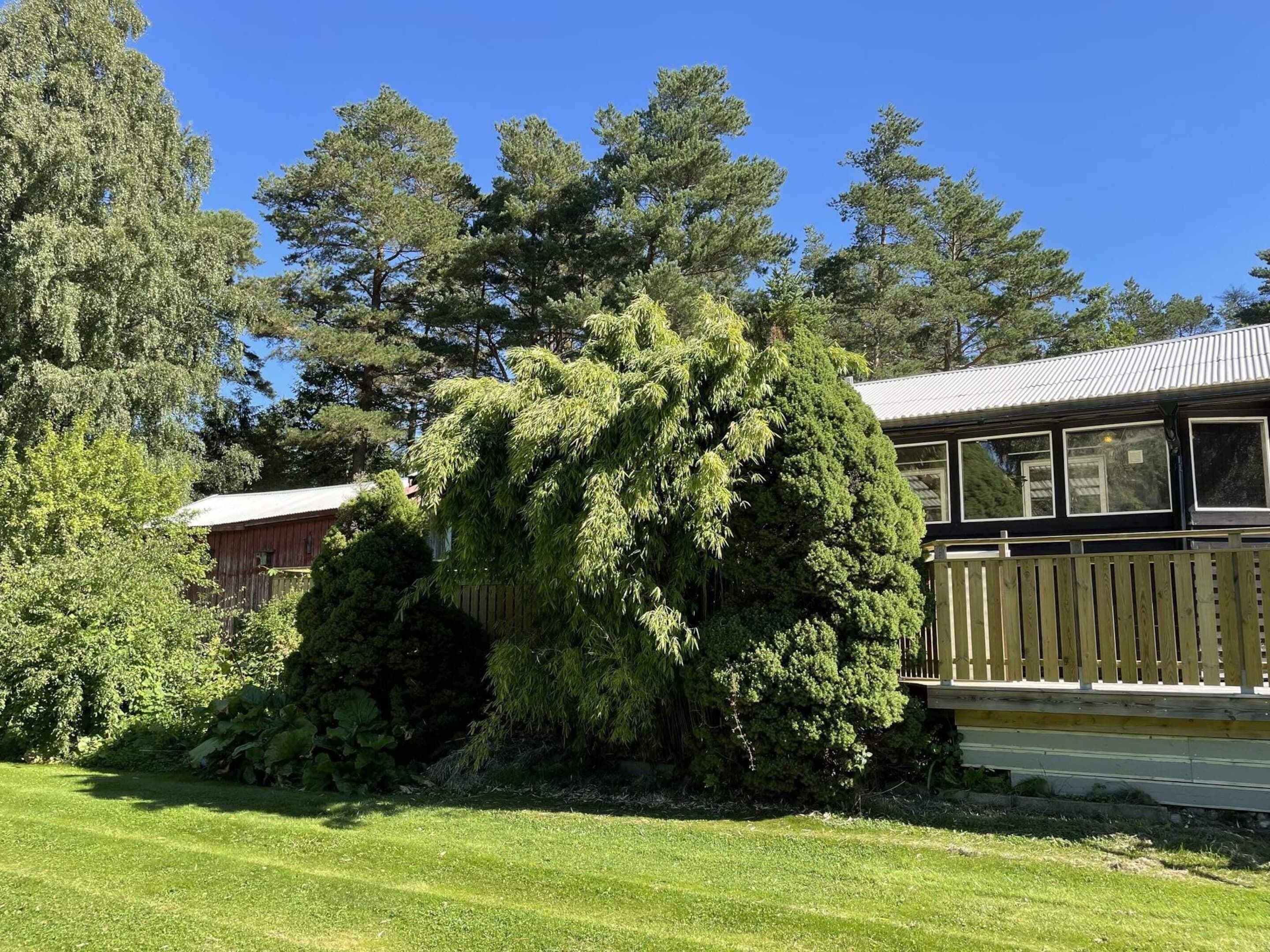 House | Property grounds