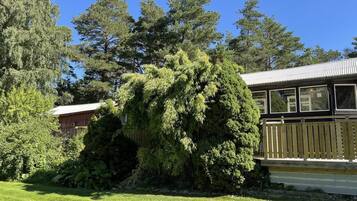 House | Property grounds