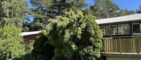 House | Property grounds