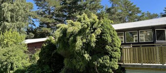 4 Person Holiday Home in Uddevalla