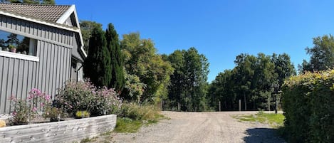 A gravel driveway leading to a wooden house with a sloped roof, surrounded by trees and shrubs.