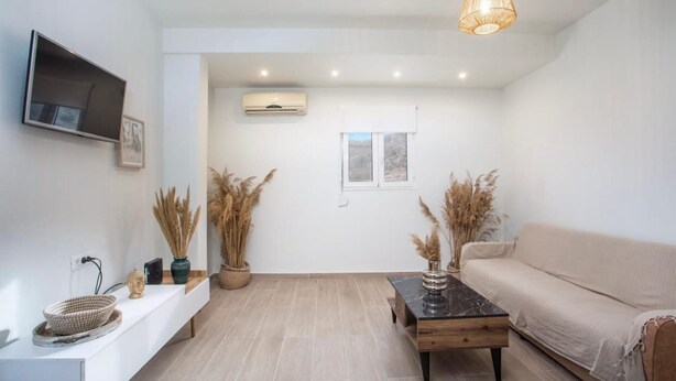 A living room with a sofa, a coffee table, a TV, and decorative plants.
