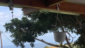 A view from a balcony with a hanging planter, a railing, and a coastal landscape in the background.