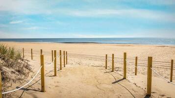 Plage à proximité, chaises longues, serviettes de plage