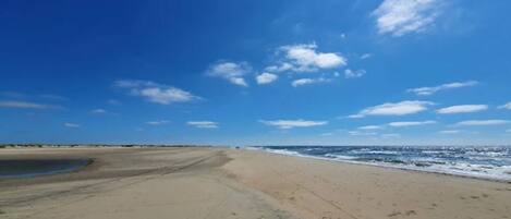 하우스 | 수변 전망