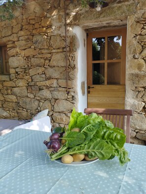 Property grounds - Stazzo su frassu (Monti)