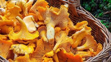 Rumah | Tempat makan