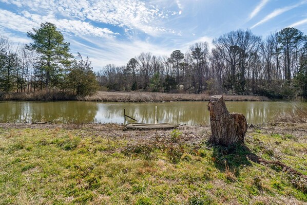 Una tranquilla scena di un lago con un molo di legno che si estende nell'acqua, circondato da un'area erbosa e alberi fitti sullo sfondo.